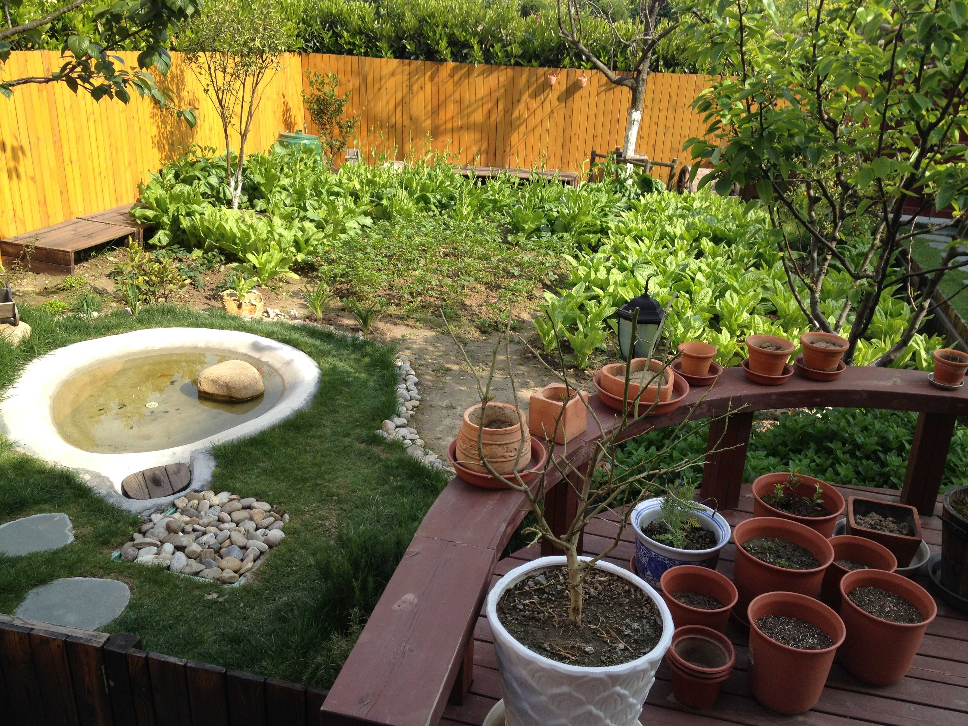 一米菜园+庭院改造 美丽城镇焕发新颜——浙江在线