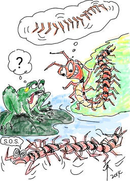 聆听不可理解或者理解率较低的英语素材,对于