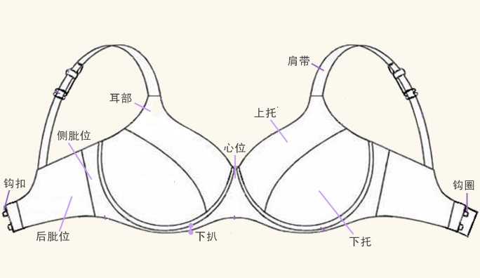 内衣半杯和全杯区别图_文胸半杯和全杯区别图(3)