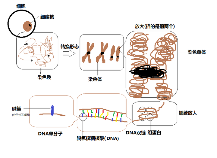 知乎