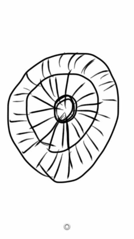 降落伞的原理固)
