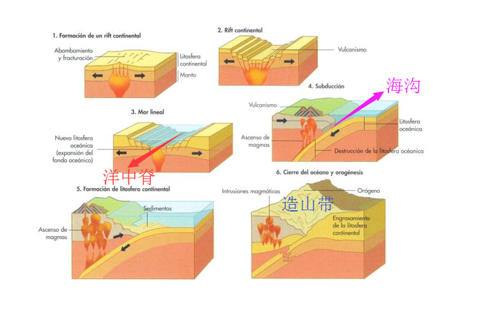 大陆漂移和地质构造中的板块运动是不是指同一回事?