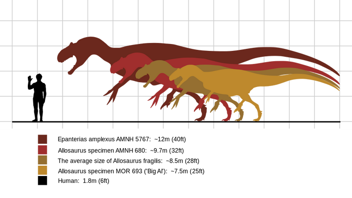 并不是越接近现在动物的体型越小,很久以前的恐龙也曾经小过,后来才