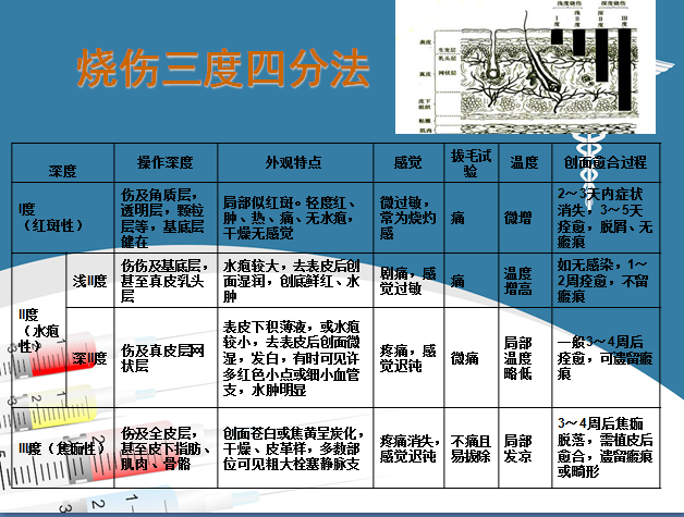 如果在公共場合看到突發燒傷事件,應該做哪些事情來實施緊急救援?