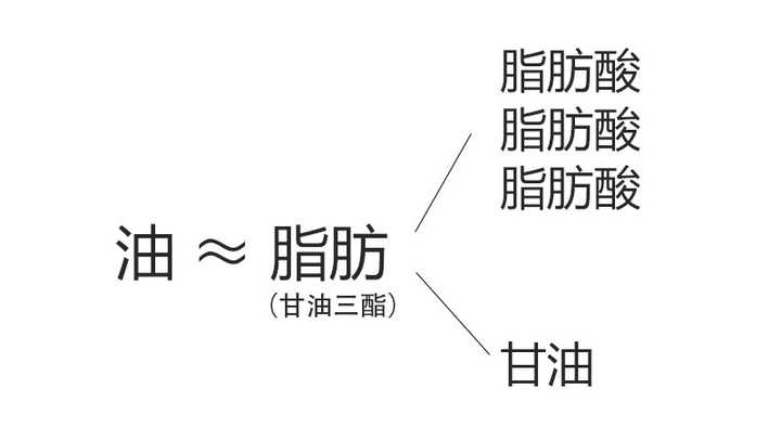 甘油只有一種,因此 脂肪酸的類型和含量就決定了這種油的功效.