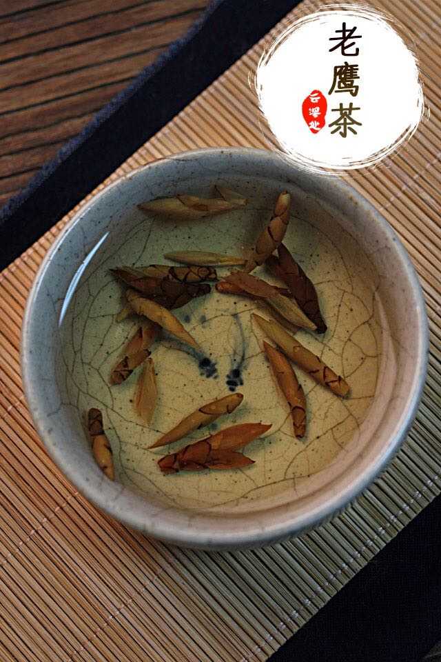 老鹰茶孕妇能喝吗 知乎