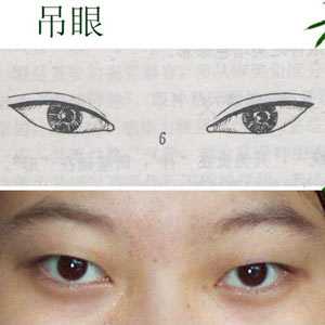 人的眼睛从外形的角度来看有哪些类型？ - 知乎