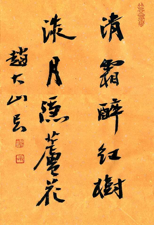 清霜醉红树,淡月隐芦花.行书