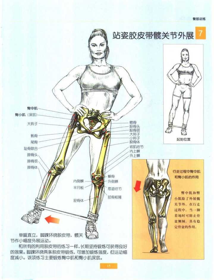 如何尽量地臀翘腿细?