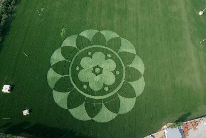 Jospictjapzit 最も好ましい 麦田怪圈英文2003 麦田怪圈英文