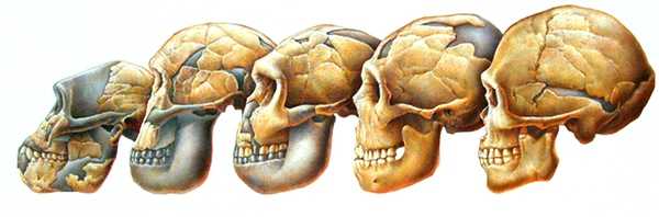 牙医们看魔兽电影里的兽人牙齿有什么感觉?