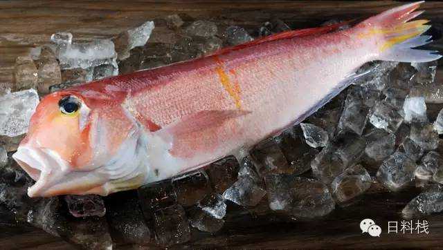 跟日本料理有关的动漫和日剧中经常会看到鲷鱼 为什么日本人这么喜欢鲷鱼 碗丸的回答 知乎