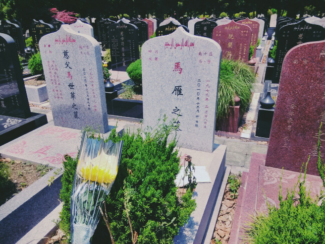 青浦回民公墓图片