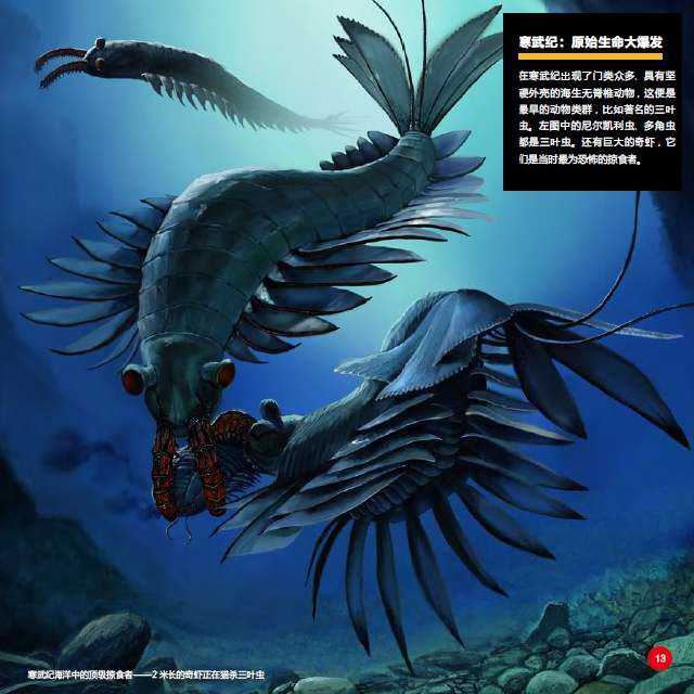 昆虫是从什么生物演变而来的 知乎 昆虫是从什么生物演变而来的 知乎