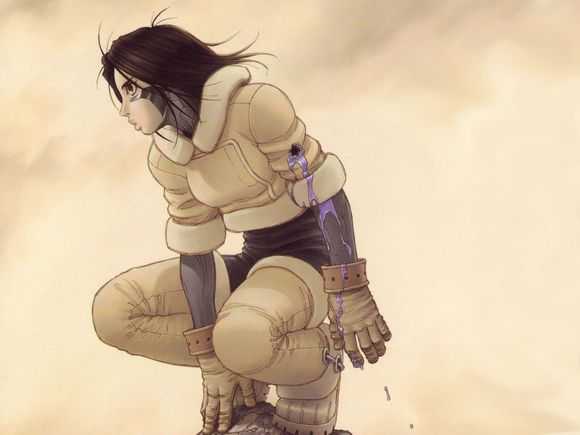 漫画的话,设定有点像的有铳梦,相似的部分是都是以女性生化改造人为