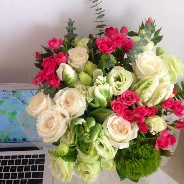 自然界有绿色的花吗 蔓玫的回答 知乎