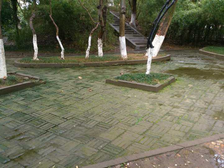 金柅园入园处.台阶往上是金柅亭.