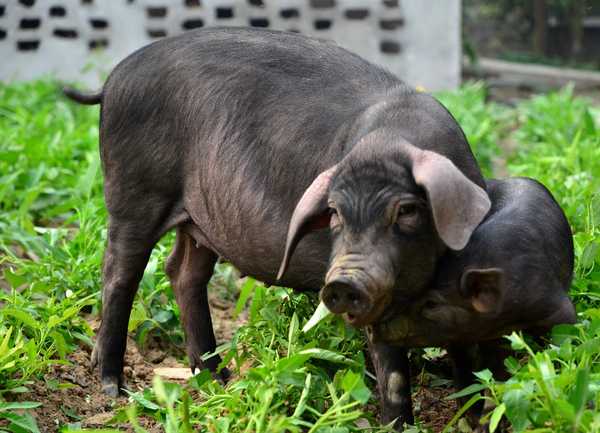 有哪些看上去早就存在的事物实际发明时间很晚？