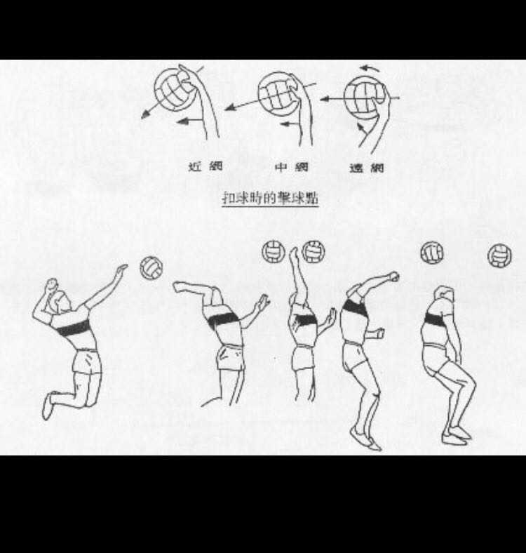 沉迷于排球无法自拔