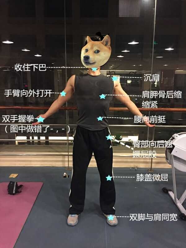 怎样纠正成年人驼背,耸肩的体态?