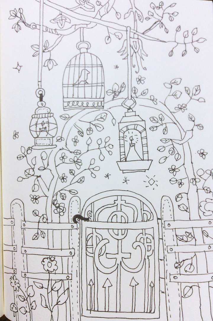 怎么评价秘密花园?