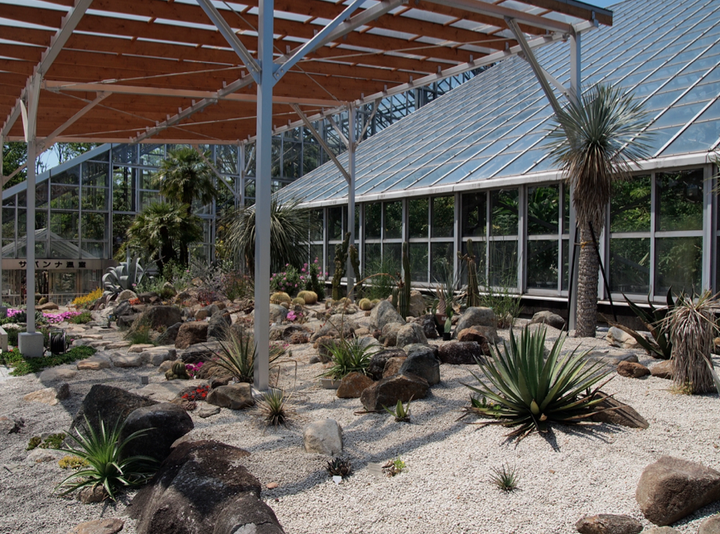 一个好的植物园应该具备什么样的特质 可以从哪些方面创新 知乎