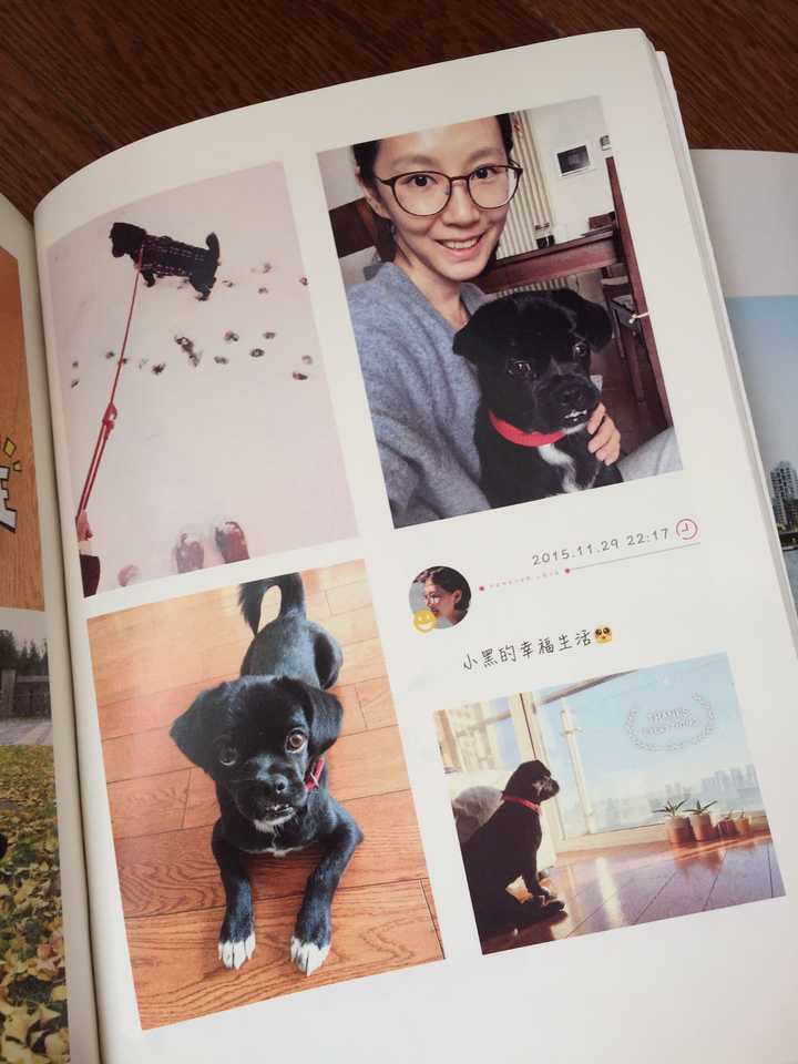 自己动手制作相册如何排版布局才不土气 知乎