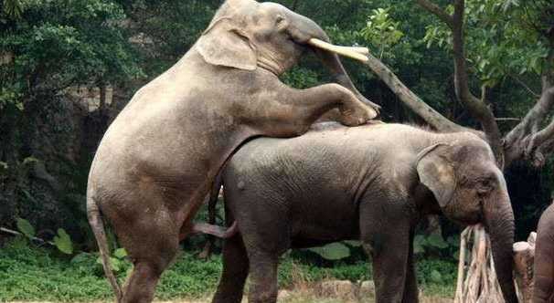 女生打扮得漂漂亮亮,是为了彰显自己独立自信,还是为了