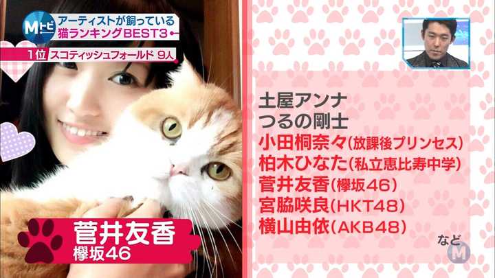 ひ めくり カレンダー Amp Petmd Com Sea Quartz Ck Amp Petmd Com ひ めくり カレンダー Amp Petmd Com Sea Quartz Ck Amp Petmd Com