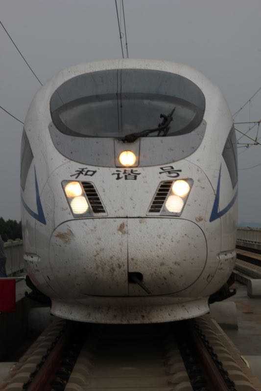 你看,这上面的小点点都是虫子,大点点是鸟.