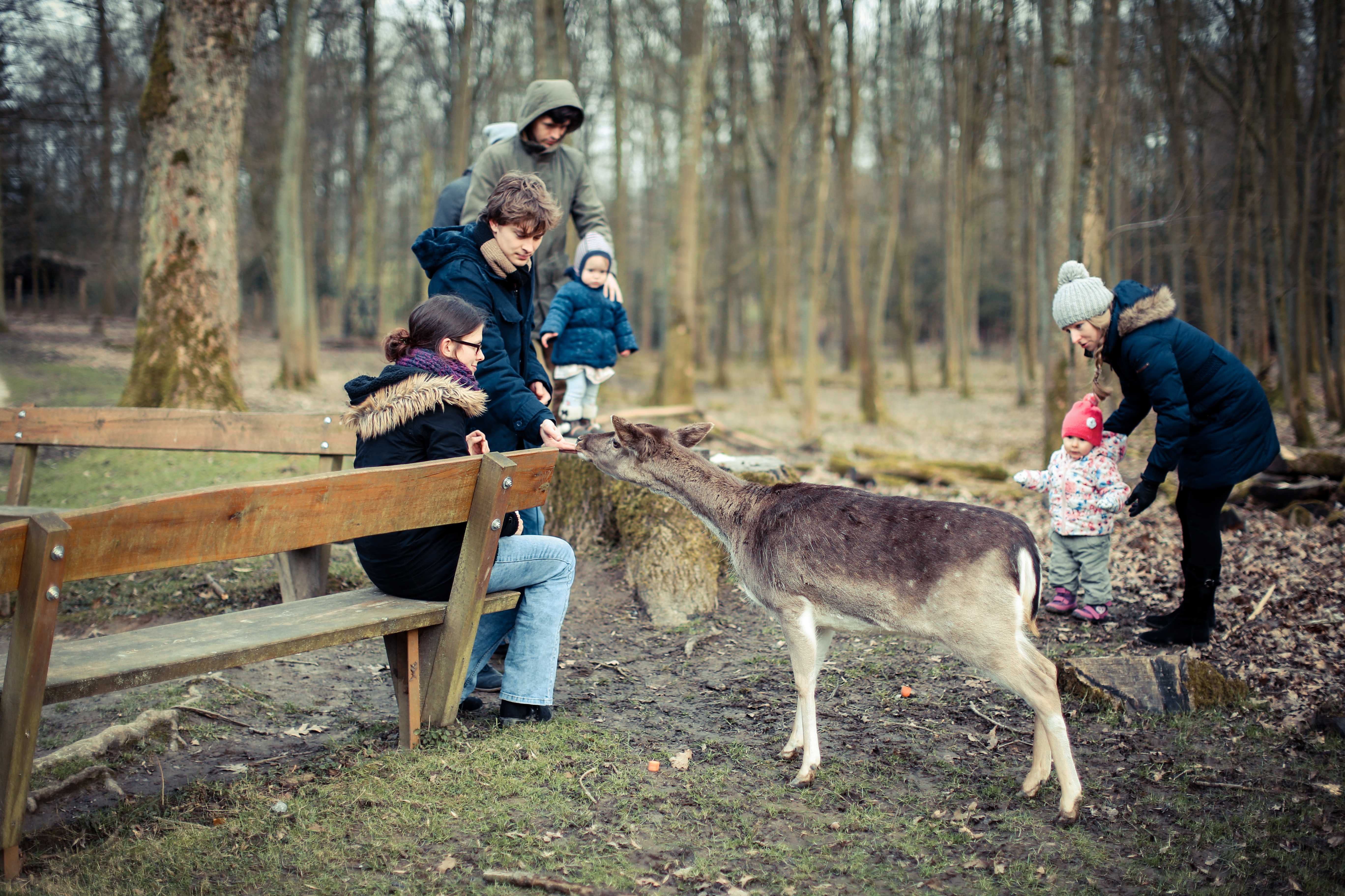 如图,人与自然和谐相处,人们不会伤害动物,动物也不怕人.  显示全部