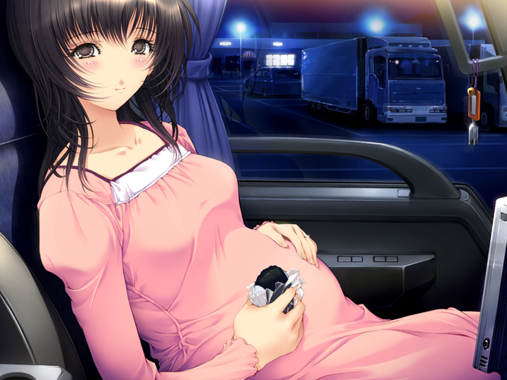 有哪些galgame可以称之为艺术品