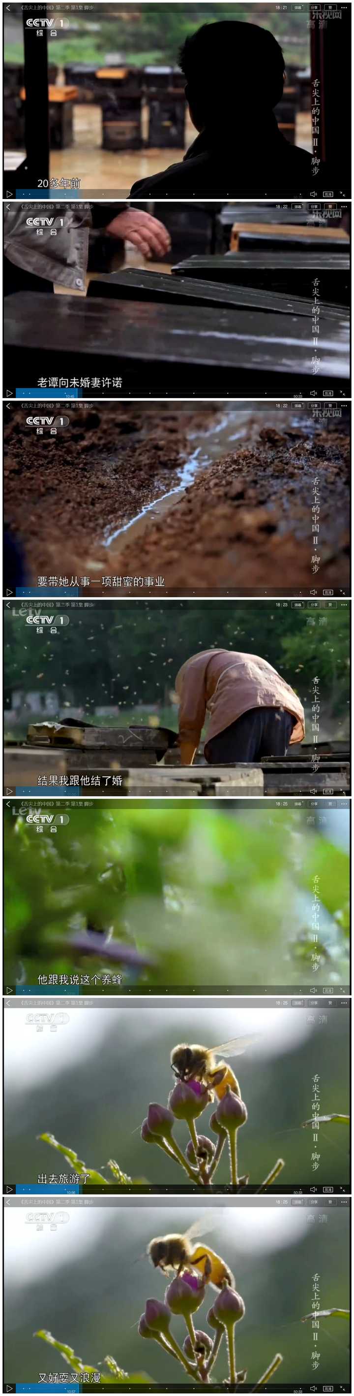 舌尖上的中国 第二季有哪些看点 如何评价 知乎 舌尖上的中国 第二季有哪些看点 如何评价 知乎