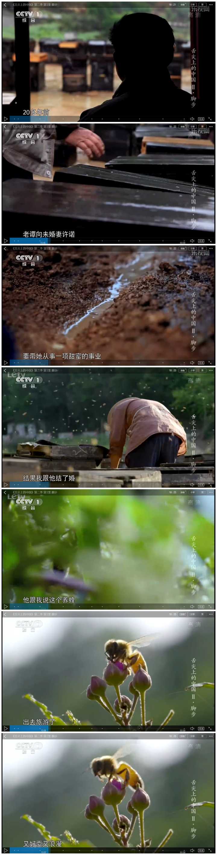 舌尖上的中国 第二季有哪些看点 如何评价 知乎