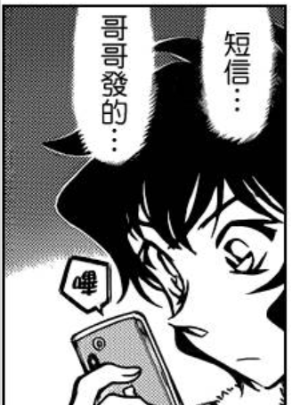 调查赤井秀一死因不应该从柯南和柯南身边的人入手,应该从fbi入手.