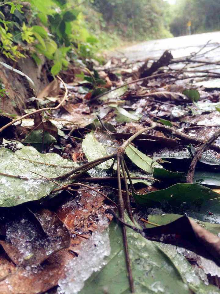 2016年1月24日早上山并在梧桐山上拍到的,从来没见过梧桐山有这么多人