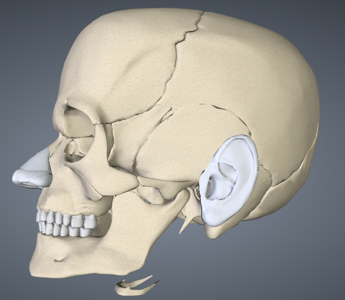 如果可以,是怎么做的?