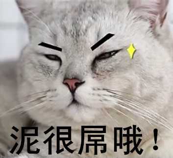 猫有眉毛吗 知乎