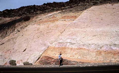 通常意义上所说的中国大陆文化断层是指什么?