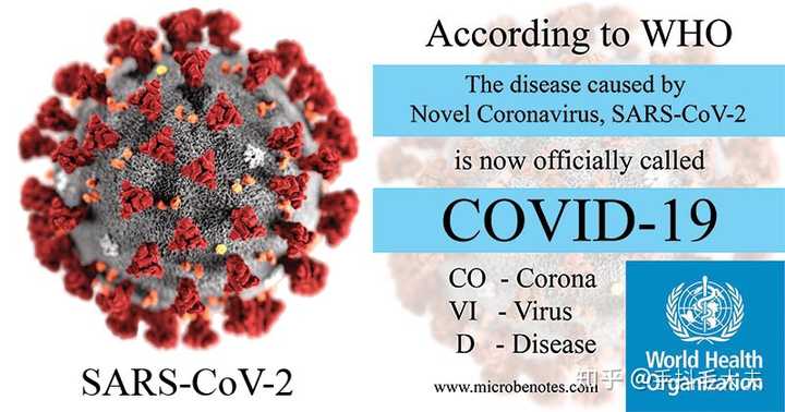 如何看待新冠肺炎被命名为 covid