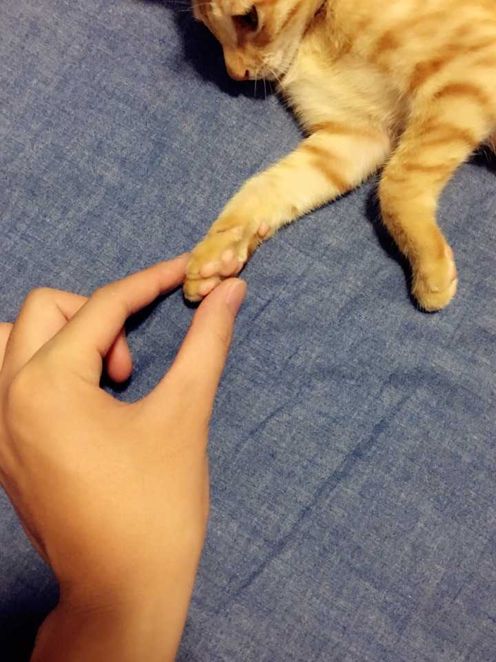 最后 喜欢大陀的来握个爪啊