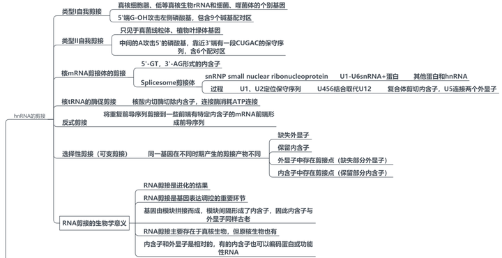 知乎
