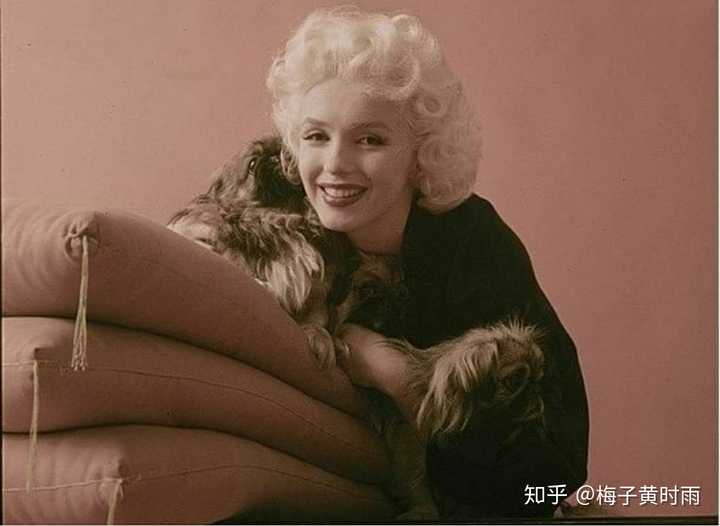 求一些玛丽莲·梦露(marilyn monroe)年轻时的美照?