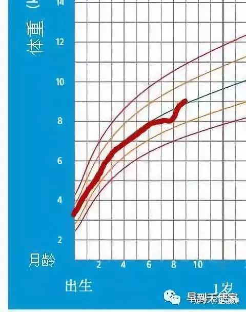 早产儿比足月儿易出现发育指标延迟?早产儿的生长曲线怎么看?