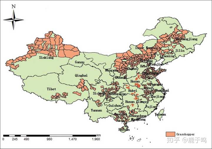 怎么应对 4000 亿只蝗虫来袭?