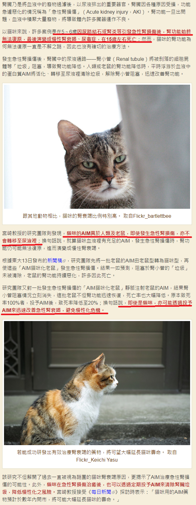 猫粮真的是蛋白质越高越好吗 以及猫咪晚年肾病真的无法预防 知乎