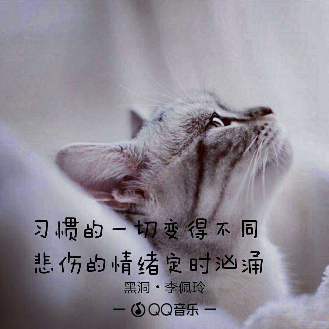 伤心的人听什么歌?