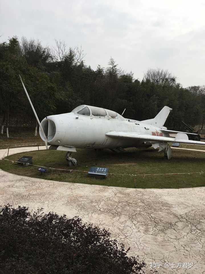 你对空军未来发展有哪些期待?