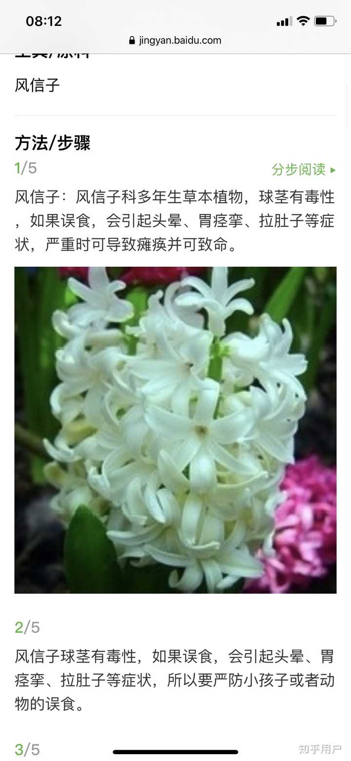如果室友吃了我种在在宿舍的风信子球根中毒进医院了 我需要负责任么 知乎 如果室友吃了我种在在宿舍的风信子球根中毒进医院了 我需要负责任么 知乎