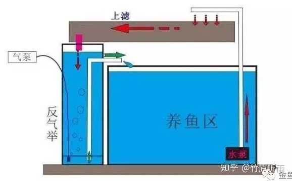 鱼缸反气举是什么原理?